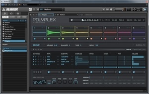 Polyplex
